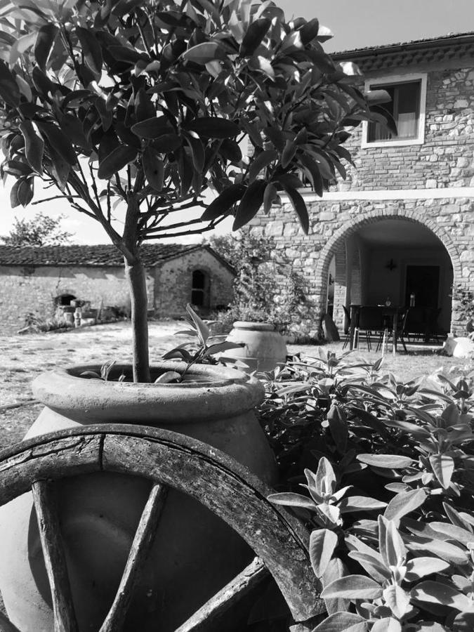 Podere Il Sasso บาร์เบริโน ดิ มูเจลโล ภายนอก รูปภาพ