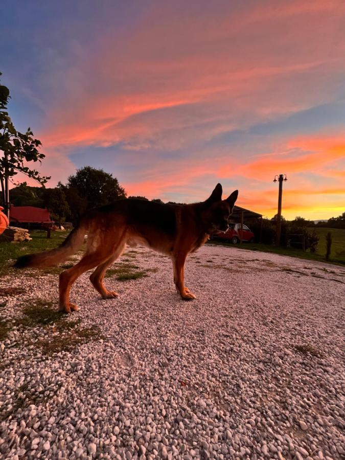 Podere Il Sasso บาร์เบริโน ดิ มูเจลโล ภายนอก รูปภาพ