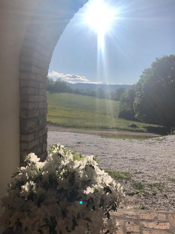 Podere Il Sasso บาร์เบริโน ดิ มูเจลโล ภายนอก รูปภาพ